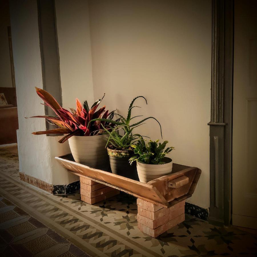 Casa Rural Maribel Santa Amalia Eksteriør billede
