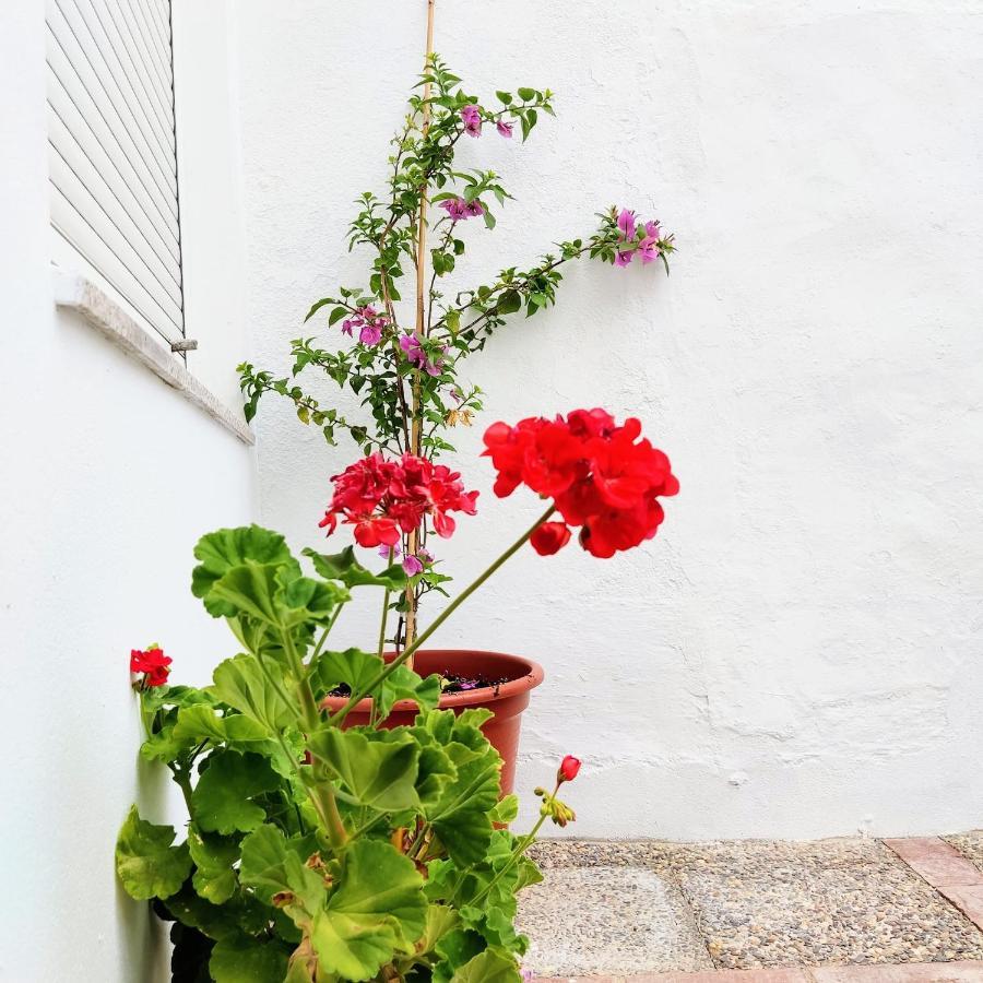 Casa Rural Maribel Santa Amalia Eksteriør billede